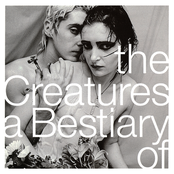 The Creatures: A Bestiary Of