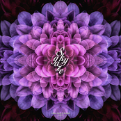 vibes, bass & breaks, vol. 1