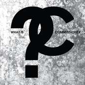 What is Commissioner?