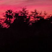 Kangaroo / A Reminder