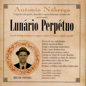 Luzia No Frevo by Antônio Nóbrega