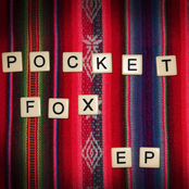 Pocket Fox