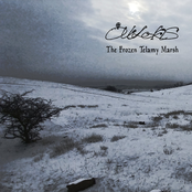 The Frozen Telamy Marsh