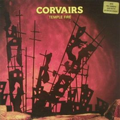 Corvairs