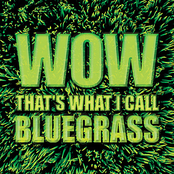Wow That's What I Call Bluegrass