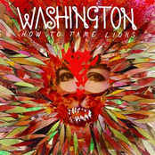 Teenage Fury by Washington