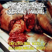 Infatuated With a Disemboweled Body