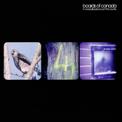 Kid For Today by Boards Of Canada