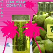 Lean nella cedrata 2