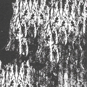 Deconstructing a Purpose