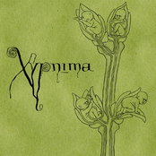 Xypnima