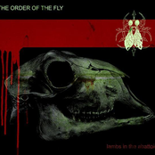 The Lost by The Order Of The Fly