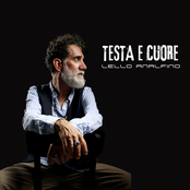 Testa e cuore