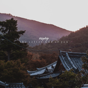 The Velvet Hue of You