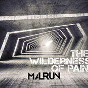 The Wilderness of Pain