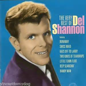 This Is All I Have To Give by Del Shannon