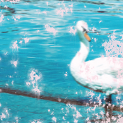 Slipstream