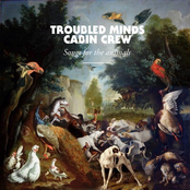 troubled minds cabin crew