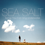 Run On Sentences by Sea Salt