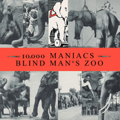10,000 Maniacs: Blind Man's Zoo