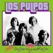 Los Pulpos