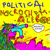 political necroshemalebob