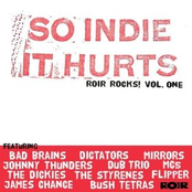 So Indie It Hurts: ROIR Rocks Volume One