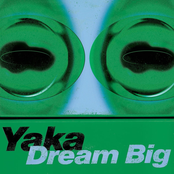 Dream Big