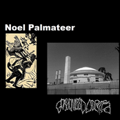 Noel Palmateer / Gorgonized Dorks