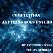 Anything Goes Psycho