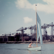 The Last Swarm of Summer