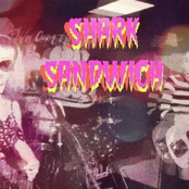 Shark Sandwich Live @Spinelli's