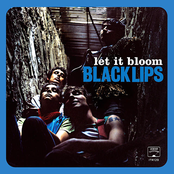 Boomerang by Black Lips