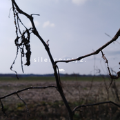 Silence : Pt. 2