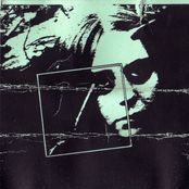 Insane Music For Insane People Vol. 5