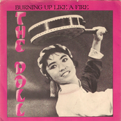 Burning Up Like A Fire