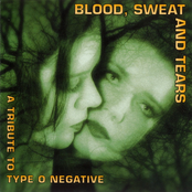 Blood, Sweat And Tears - A Tribute To Type O Negative (Compilation, Zoomica - 08581182, Germany)
