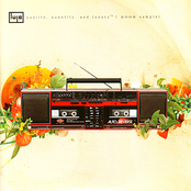 Quality, Quantity and Luxury / 2008 Sampler