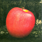 Little Wings: Black Grass