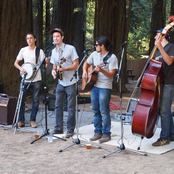 the bad apple stringband