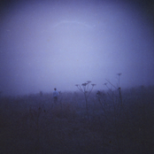 Once We Were (Fragments of 2011-2017)