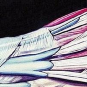 The Self Beyond / Vac Siddha