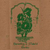 Harvesting in Mabel's Garden