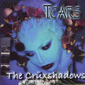 Heaven's Gaze (acoustic Tears Edit) by The Crüxshadows