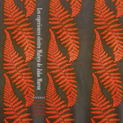 Les experiences electro Maloya de Jako Maron