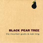 Supergenesis by The Mountain Goats & Kaki King