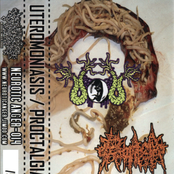 Uteromoniasis / Proctalgia