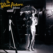 If You Leave Me Can I Come Too? by The Wilson Pickers