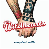 Putting It On by The Wildhearts