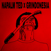 Napalm Ted x Grindonesia